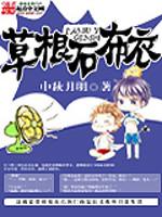 草根石布衣优书网