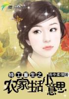 特工重生之农家小意思全文免费