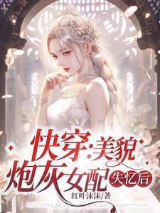 快穿炮灰美貌值爆表叶汐