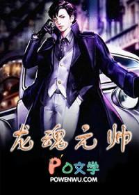 龙魂元帅全屏阅读