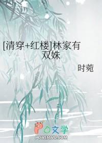 清穿红楼林家有双姝微盘