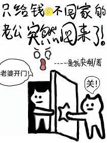 只给钱不回家的老公忽然回来了 书旗