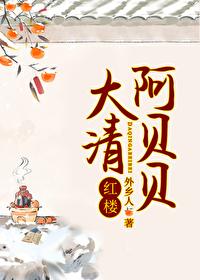 大清阿贝贝红楼外乡人