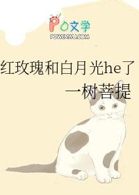 红玫瑰和白月光he了作者一树菩提txt