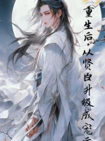 从贤臣升级成宠后 清天简