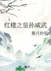 穿越红楼之孙绍祖