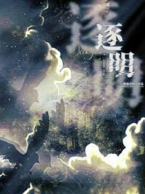 逐明月枕清风