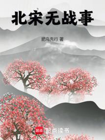 北宋战争胜率