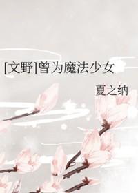 文野fate