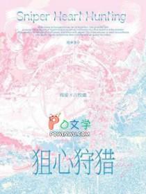 狙击猎手所有区解锁