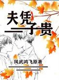 夫凭子贵短剧