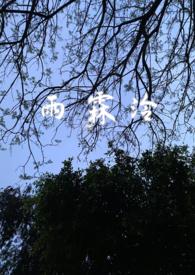 女主雨霖婞的