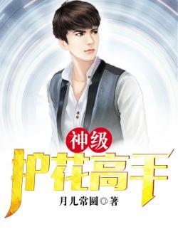 神级护花系统