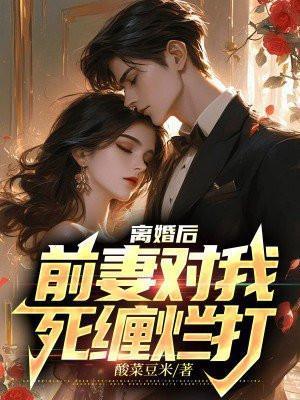 离婚后前妻对我死缠烂打免费阅读