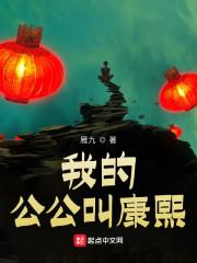 我的公公叫康熙起点中文网