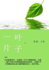一片叶子( h)