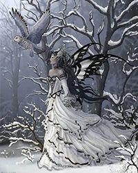 [综漫]抽出诅咒之王这张SSR以后